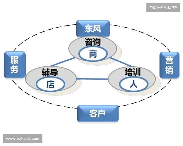 Dovetail助力团队协作与用户研究推动未来创新与效率提升 Dovetail助力团队协作与用户研究推动未来创新与效率提升