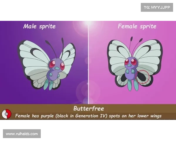 《七段人鱼之心鲜为人知的传说与神秘故事探秘》