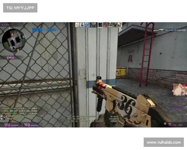 俄罗斯平台引领潮流 高品质CSGO皮肤成为玩家收藏新宠 俄罗斯平台引领潮流 高品质CSGO皮肤成为玩家收藏新宠