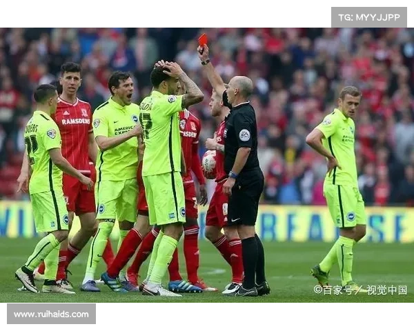 全面解析加的夫城俱乐部在英国足球联赛体系中的历史与现状发展脉络