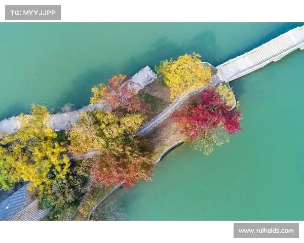 天空之城滑翔伞竞赛小组赛精彩开赛 空中竞技挑战极限勇者争锋